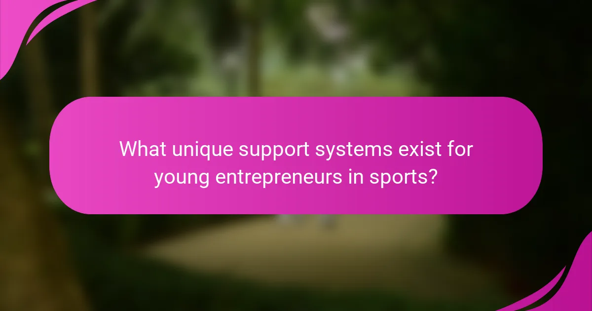 What unique support systems exist for young entrepreneurs in sports?